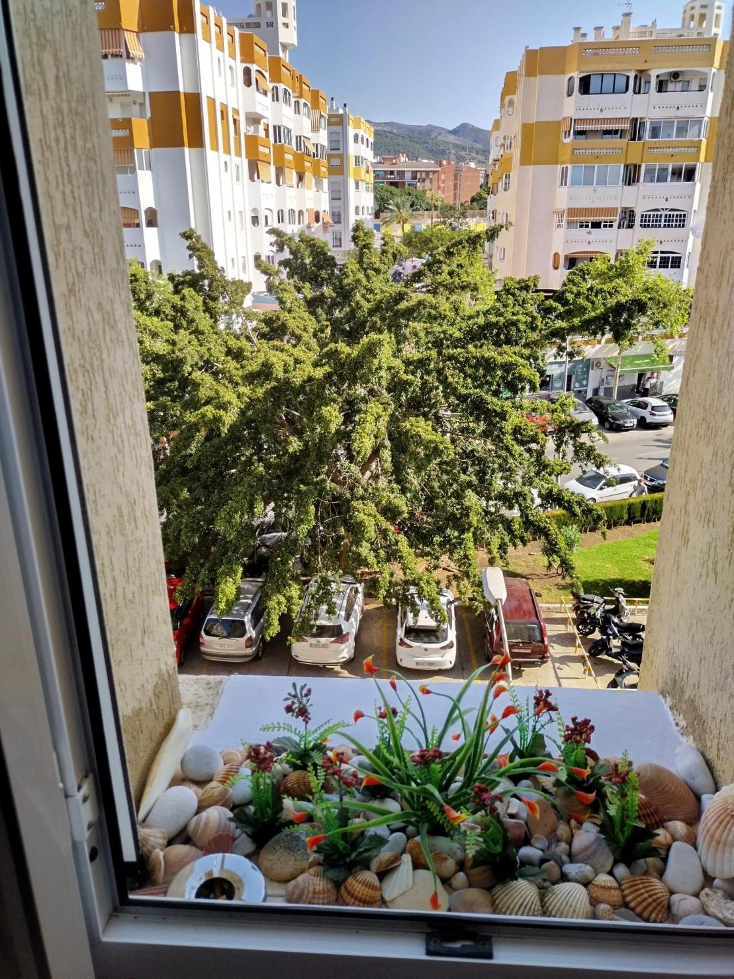 בנאלמדנה Apartment Helena מראה חיצוני תמונה